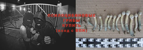 мяу мяу кристалл Каменногорск